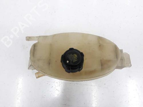 Used Expansion tank RENAULT TRAFIC II Bus (JL) 2.0 dCi 90 (JL00, JL01, JL0H, JL0M, JL0P, JL0S) (90 hp) 6115882