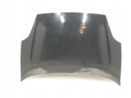 Used Hood FIAT GRANDE PUNTO (199_) 1.4 T-Jet (199AXM1A, 199BXM1A, 199BXN1A) (120 hp) 17546289