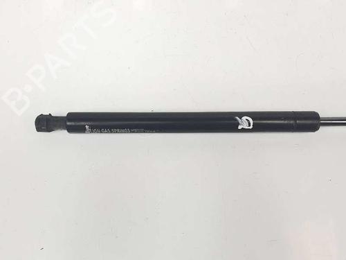 Hood lift support LAND ROVER RANGE ROVER SPORT I (L320) 3.6 D 4x4 | BP14083260C139 
