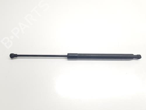 tailgate-lift-support-peugeot-208-i-ca_-cc_-2012-2013-2014-2015-2016-2017-2018-2019-2020-2021-30891054 main image