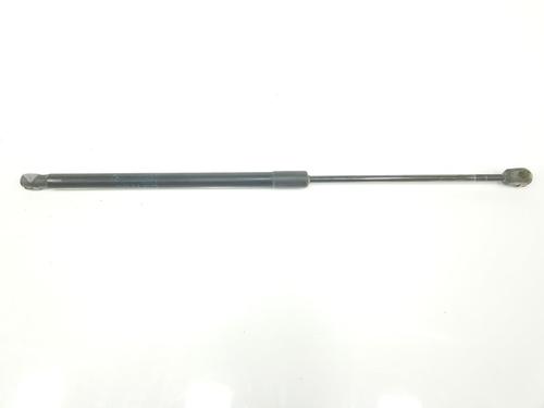 Used Tailgate lift support BMW 3 Touring (E91) 330 xd (231 hp) 14094739