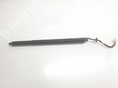 Used Tailgate lift support Tailgate lift support RENAULT AUSTRAL [2022-2026] 34245578 34245578