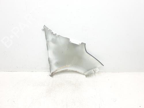 Left front fenders RENAULT MASTER III Van (FV) 2.3 dCi 125 RWD (FV0C, FV0D, FV0H, FV0J, FV0A, FV0K) | BP30395632C41