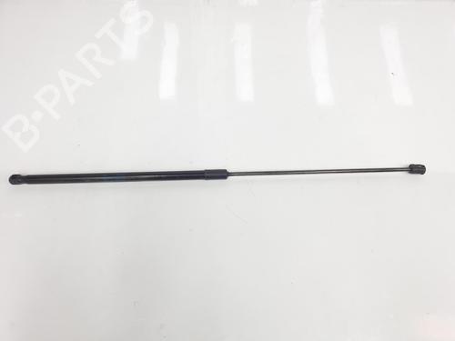 Hood lift support VW GOLF VII (5G1, BQ1, BE1, BE2) 2.0 TDI | BP14099331C139 