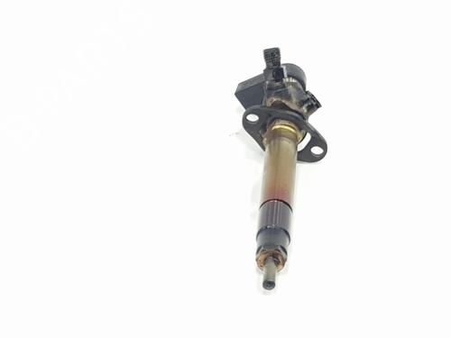 Injector LAND ROVER DISCOVERY III (L319) 2.7 TD 4x4 | BP24597906M100 
