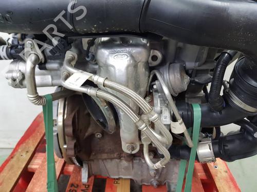 Engine FORD PUMA (J2K, CF7) | BP39191540M1 - Image 14