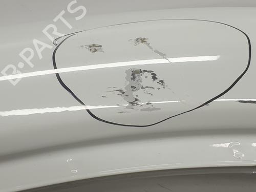 Left front door RENAULT TRAFIC III Van (FG_) 1.6 dCi 140 (FGMA, FGMC) | BP30391517C2