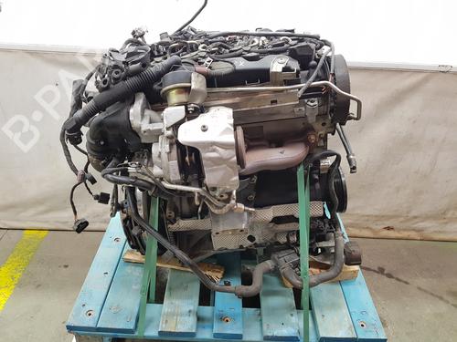 Engine AUDI Q5 (FYB, FYG) 2.0 TDI | BP35954982M1 - Image 10