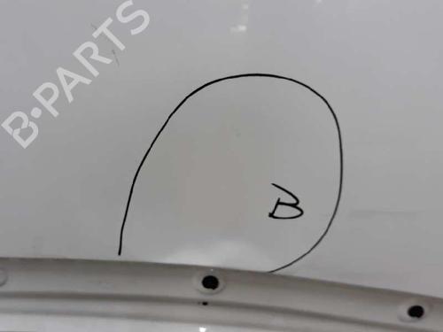 Hood SEAT ALTEA (5P1) 1.2 TSI | BP790896C1 