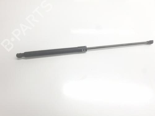 tailgate-lift-support-renault-arkana-i-lcm_-ldn_-2019-33694663 main image