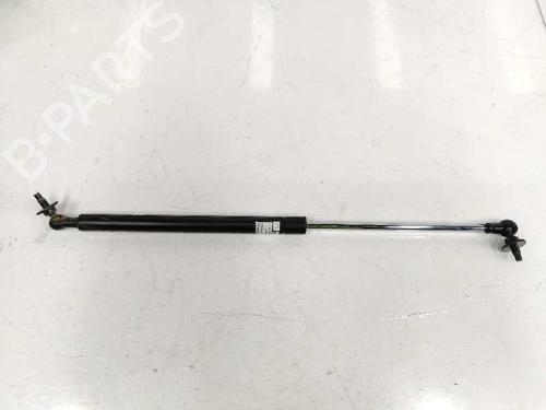 Used Hood lift support TOYOTA LAND CRUISER PRADO (_J12_) 3.0 D-4D (KDJ120, KDJ125) (166 hp) 14087295
