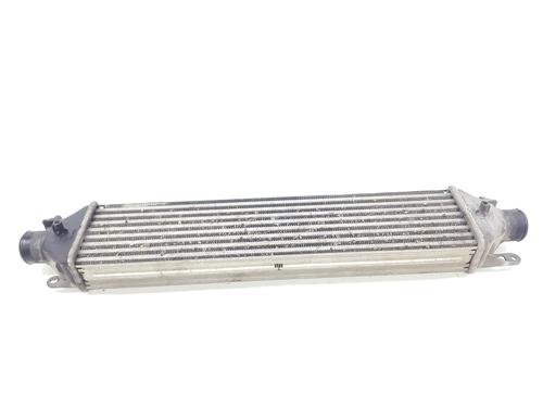 Used Intercooler FIAT DOBLO Platform/Chassis (263_) 1.3 D Multijet (90 hp) 27636048