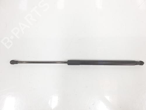 Gassdemper Bakluke BMW 1 (F21) 116 d (116 hp) 14092238