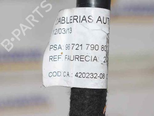 Other CITROËN C4 II (NC_)  | BP14120160O1 
