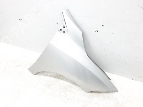 Right front fenders RENAULT MEGANE III Hatchback (BZ0/1_, B3_) 1.5 dCi (BZ09, BZ0D, BZ1W, BZ29, BZ14) | BP29436876C42 