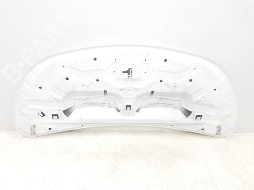 Hood RENAULT TRAFIC III Van (FG_) 1.6 dCi 140 (FGMA, FGMC) | BP30000343C1 