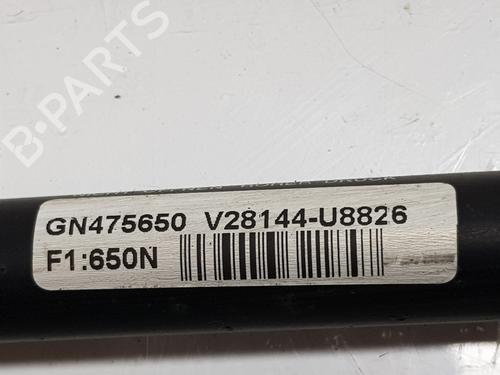 Tailgate lift support AUDI A6 C5 Avant (4B5) 1.8 T | BP20193468C138 