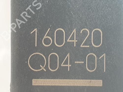 Electronic module AUDI A6 C7 (4G2, 4GC) 2.0 TDI | BP31393119M83