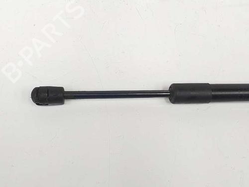 Hood lift support BMW X3 (F25) sDrive 18 d | BP14082880C139 
