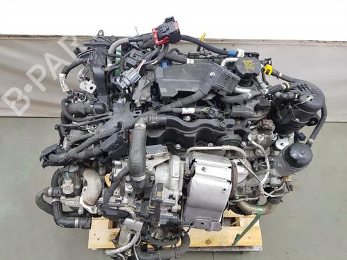 Used Engine LAND ROVER RANGE ROVER EVOQUE (L551) [2018-2025]  29399393