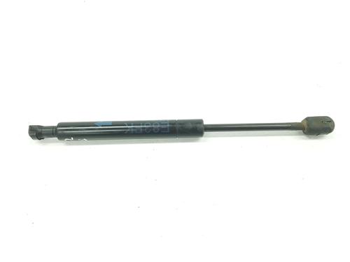 Used Hood lift support BMW X3 (E83) 2.0 d (150 hp) 15412667