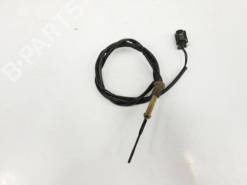 Elektronisk sensor BMW X1 (F48) sDrive 16 d | BP12460420M84 