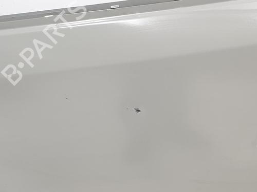 Left front door RENAULT TRAFIC III Bus (JG_)  | BP17478589C2 