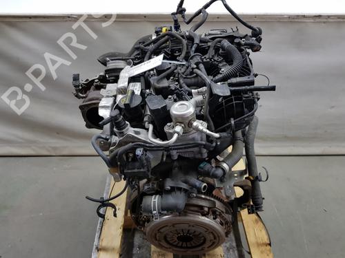 Engine FORD FIESTA VI (CB1, CCN)  | BP26155610M1 