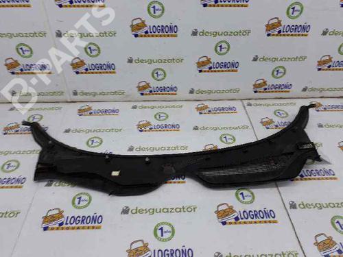 Scuttle panel BMW Z4 Roadster (E89) sDrive 20 i | BP3658002C110 