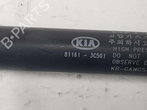 Hood lift support KIA MAGENTIS I (GD, MS) 2.0 | BP14077038C139 