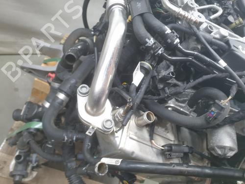 Engine VW TRANSPORTER T6 Van (SGA, SGH, SHA, SHH) | BP30304895M1