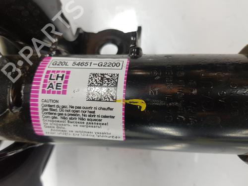 Left front shock absorber HYUNDAI IONIQ (AE) 1.6 GDI Hybrid | BP15510212M16 