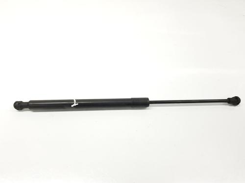 Used Tailgate lift support RENAULT CLIO IV (BH_) 1.2 16V (73 hp) 17464795