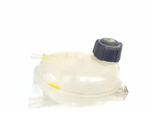 Expansion tank DACIA SANDERO II 1.5 dCi | BP25028144C120