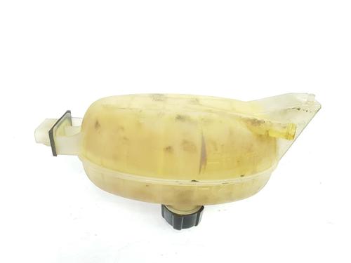 Expansion tank RENAULT TRAFIC II Bus (JL) 1.9 dCI 100 (JL0C, JL0K) | BP11060480C120 