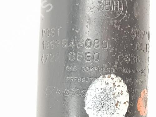 Left rear shock absorber FIAT DUCATO Van (250_) 180 Multijet 2,2 D | BP32328549M18