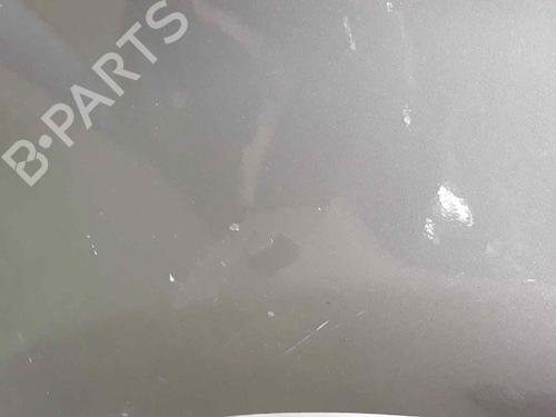 Left rear door LAND ROVER RANGE ROVER SPORT I (L320) 2.7 D 4x4 | BP5806839C4 