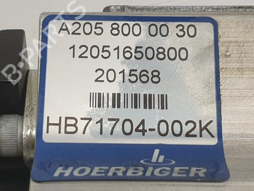 Other MERCEDES-BENZ C-CLASS Convertible (A205) C 220 d (205.404) | BP29620081O1 