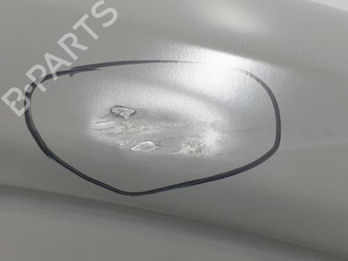 Right front door RENAULT TRAFIC III Van (FG_) 1.6 dCi 140 (FGMA, FGMC) | BP29906945C3