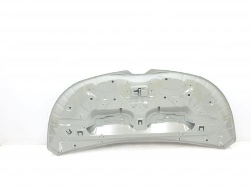 Hood RENAULT TRAFIC III Van (FG_) 1.6 dCi 140 (FGMA, FGMC) | BP29955813C1