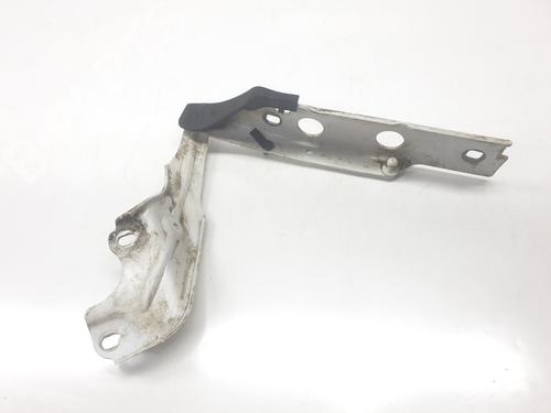 Hinge/Door check strap AUDI A6 C7 (4G2, 4GC) 2.0 TDI | BP30498289C146