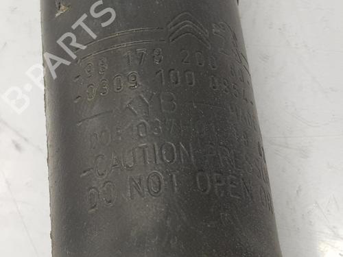 Left rear shock absorber DS DS 4 / DS 4 CROSSBACK (NX_) 1.6 BlueHDi 120 | BP12461626M18 