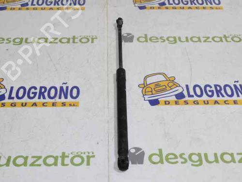 Tailgate lift support BMW 1 (E87) 120 d | BP14119896C138 