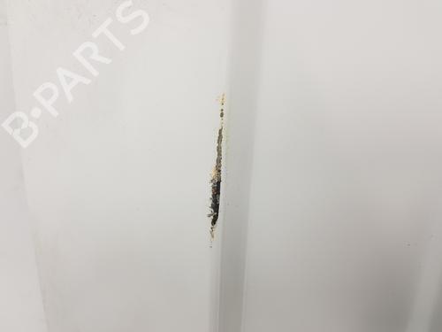 Left rear door RENAULT TRAFIC III Van (FG_) 1.6 dCi 90 (FGME) | BP16198290C4