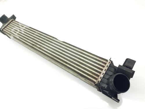 Intercooler FIAT DUCATO Van (250_) 140 Multijet 2,3 D | BP29728786M30 