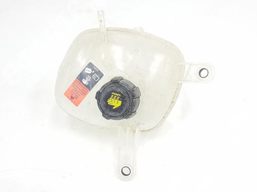 Used Expansion tank Expansion tank NISSAN QASHQAI III (J12) [2021-2026] 36298998 36298998