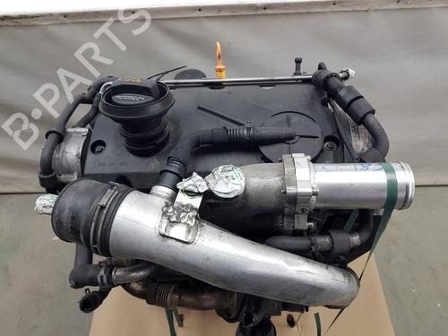 Used Engine SEAT IBIZA III (6L1) [2002-2009]  31903985