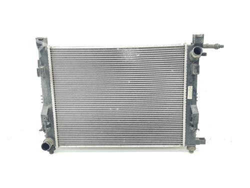 Water radiator DACIA SANDERO II | BP36781974M31 - Image 2