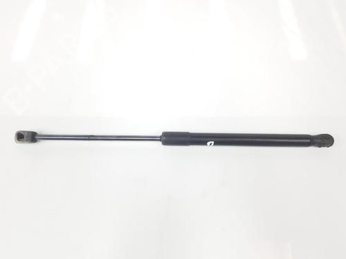 Used Hood lift support BMW X6 (E71, E72) xDrive 30 d (235 hp) 14101805