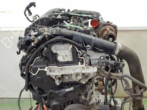Engine TOYOTA PROACE Van (MDZ_) | BP37161431M1 - Image 7